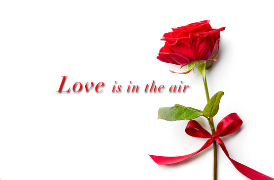 Lisa Tibaldi Terra Mia Blog News Notizie Love is in the air