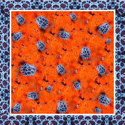 Lisa Tibaldi Terra Mia Foulard Collection serie Vita marina del golfo di Gaeta dis.05 vacchetta di mare su spugna rossa colore unico 