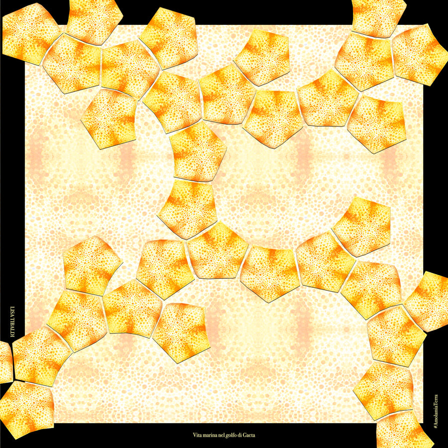 Lisa Tibaldi Terra Mia Foulard Collection serie Vita marina del golfo di Gaeta Dis.06 stella pentagono ispirata dalle foto del biologo marino gaetano Adriano Madonna